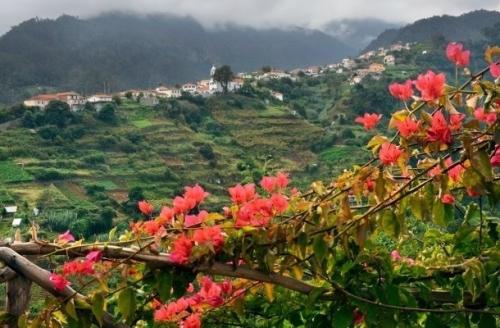 img-VIAGEM DE TURISMO AO FUNCHAL NO HOTEL PESTANA