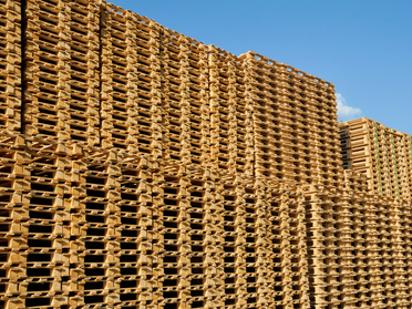 img-Paletes de madeira