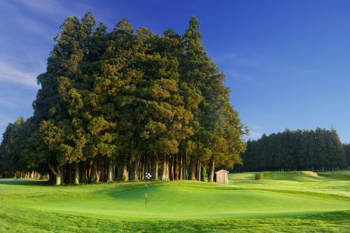 img-CAMPO DE GOLF EN LAS AZORES - FURNAS GOLF COURSE 
