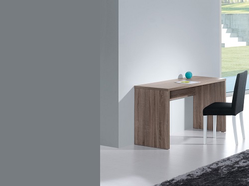 img-SECRETÁRIA PARIS CARVALHO CINZA