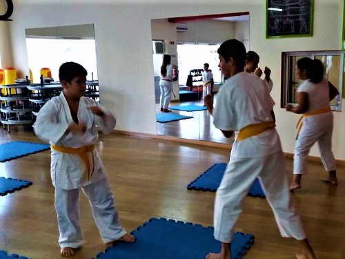 img-Crianças dos 9 aos 12 anos,Karate em Viseu