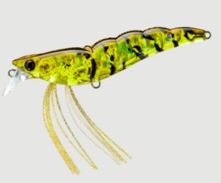 img-DUEL L-BASS SHRIMP (SS)