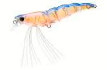 img-DUEL L-BASS SHRIMP (SS)