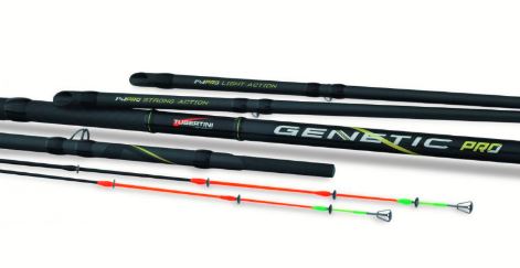 img-CANA TUBERTINI GENETIC PRO